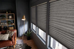 Dark Pleated Shades