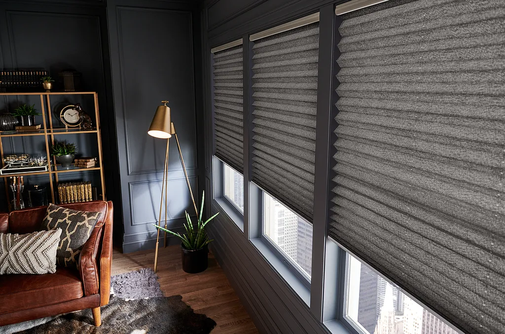 Dark Pleated Shades